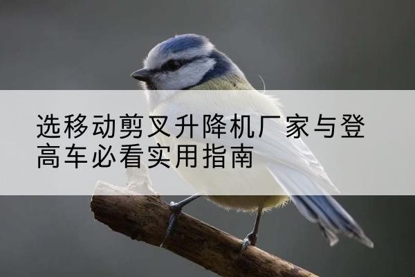 新平电动升降机厂家-选移动剪叉升降机厂家与登高车必看实用指南