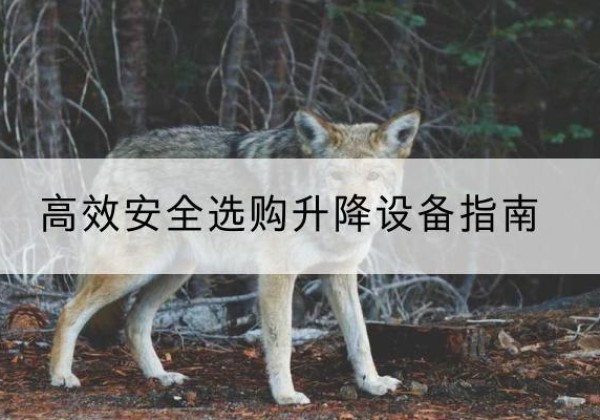 新平升降货梯厂家推荐-*安全选购升降设备指南