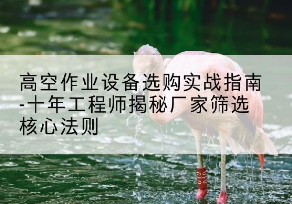 新平剪叉式升降机厂家-高空作业设备选购实战指南-十年工程师揭秘厂家筛选核心法则